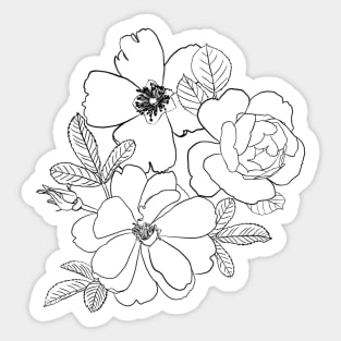 Elegant Roses Floral Line Drawing design Sticker